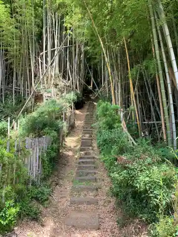 八幡神社(千葉県)
