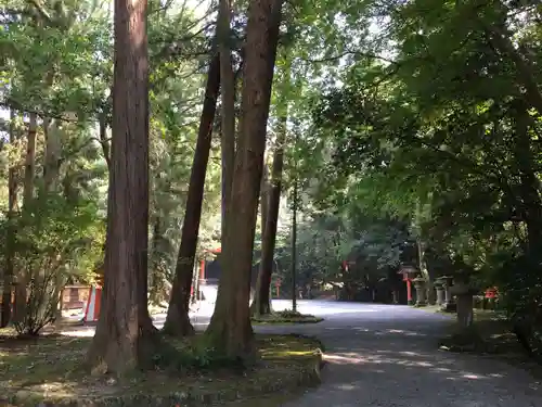 宇佐神宮の自然