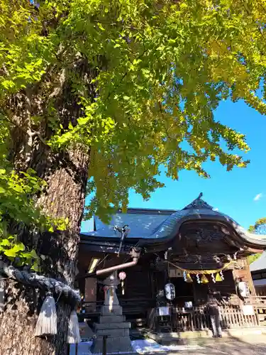菊田神社(千葉県)
