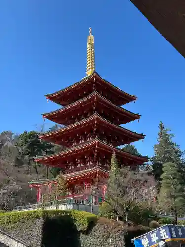 高幡不動尊　金剛寺(東京都)