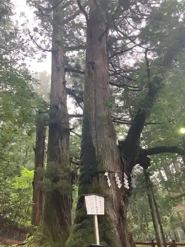 日光二荒山神社(栃木県)