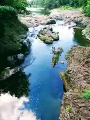 厳島神社の自然