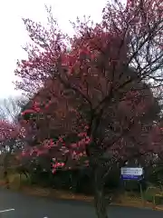 文殊寺(埼玉県)