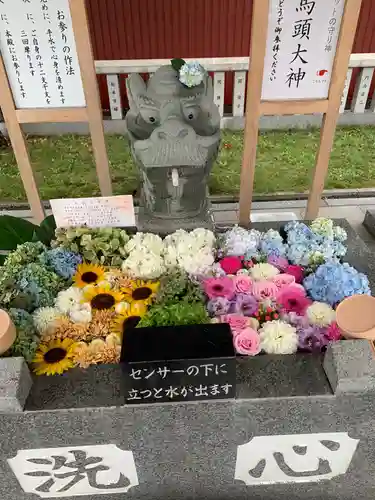 新川皇大神社の手水