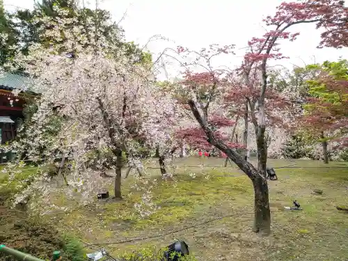 平安神宮の庭園