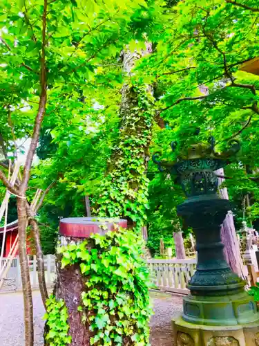 鹿島神宮の自然