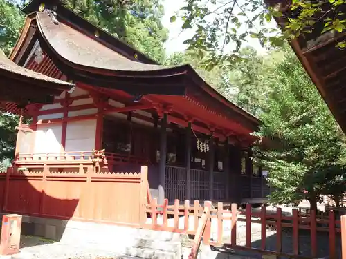 大井俣窪八幡神社の本殿