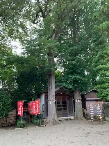 相模国総社六所神社の自然