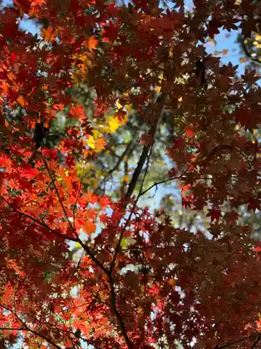 鹿島大神宮(福島県)