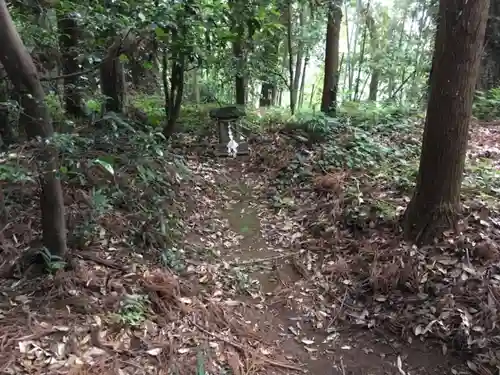 阿弥神社の自然