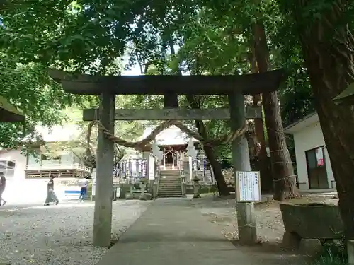 下野 星宮神社の鳥居