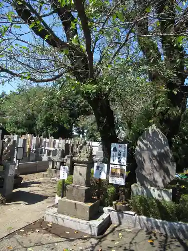 真光寺(千葉県)