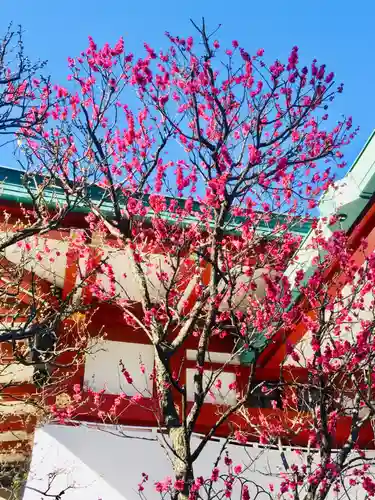 日枝神社の自然