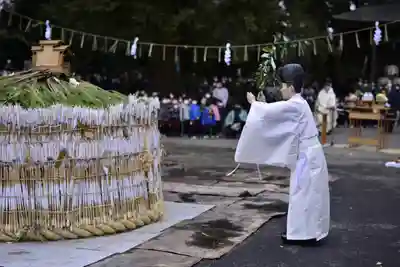大宮八幡宮のお祭り