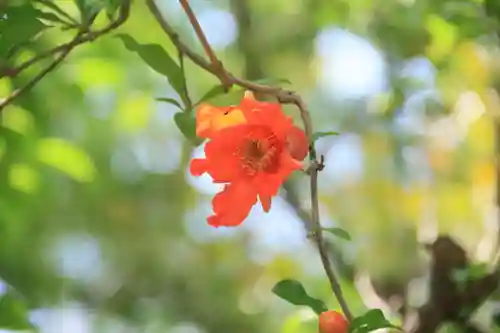開成山大神宮の庭園