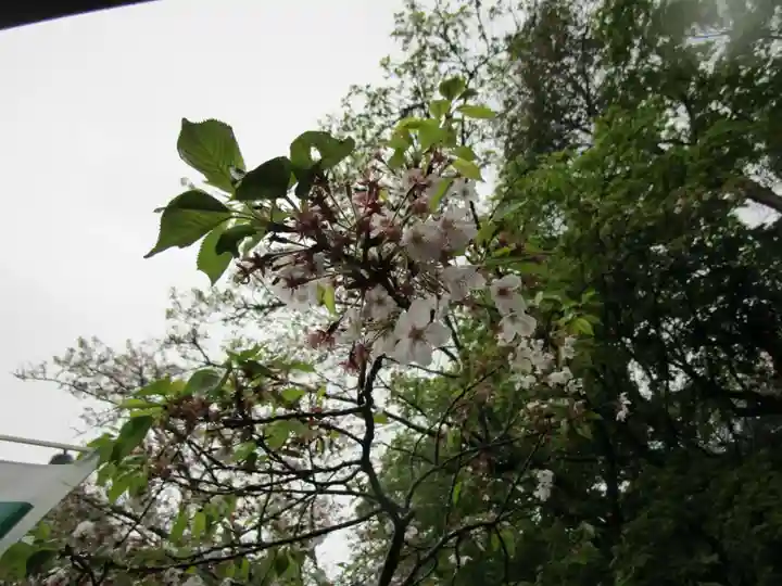 金剛宝寺(紀三井寺)(和歌山県)