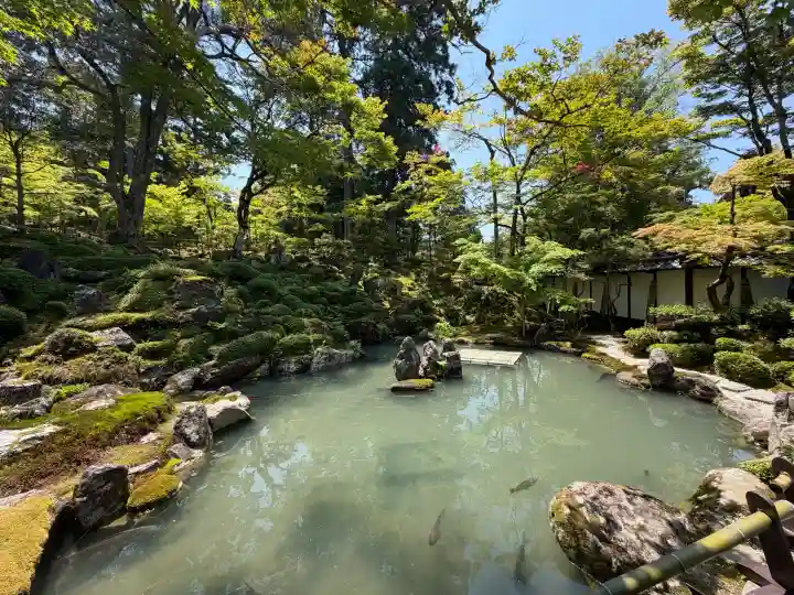 西明寺の{uncategorized: "未分類", other: "その他", undefined: "問題あり", building: "その他建物", grave: "お墓", sacred_gate: "鳥居", guardian: "狛犬", statue: "像", buddha: "仏像", history: "歴史", nature: "自然", garden: "庭園", animal: "動物", pagoda: "塔", temizu: "手水舎", mountain_gate: "山門・神門", sanctuary: "本殿・本堂", subordinate: "末社・摂社", art: "芸術", scenery: "景色", jizo: "地蔵", ema: "絵馬", goshuin: "御朱印", omikuji: "おみくじ", items: "授与品その他", amulet: "お守り", goshuincho: "御朱印帳", eats: "食事", festival: "お祭り", votive_dance: "神楽", shichigosan: "七五三参", wedding: "結婚式", experience: "体験その他", initially: "初詣", around: "周辺", anti_infection: "感染症対策"}
