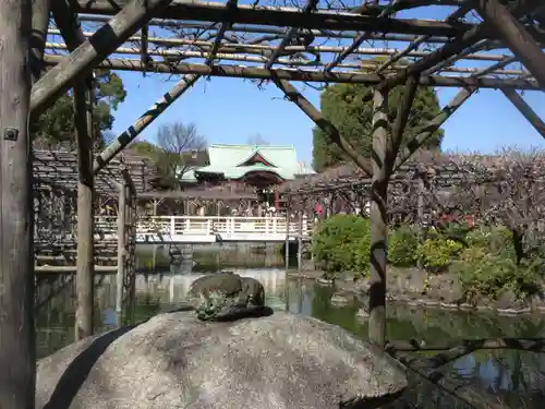 亀戸天神社(東京都)