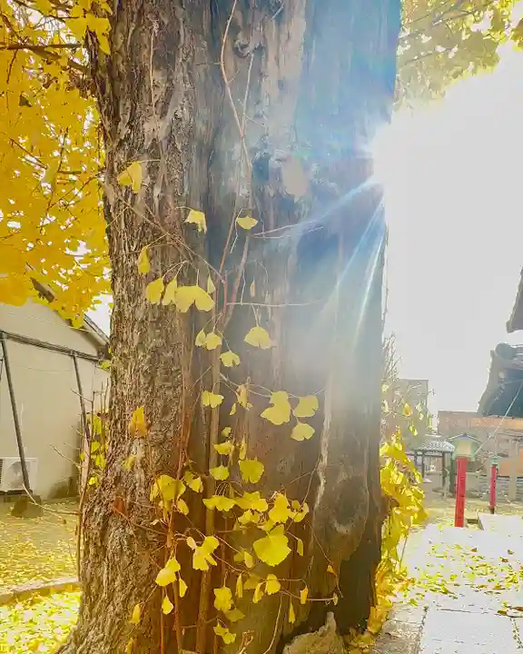 宇賀神社(京都府)