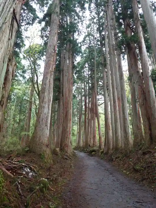 戸隠神社奥社(長野県)
