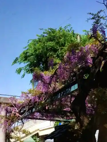 國領神社(東京都)