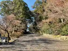 光明寺（粟生光明寺）の建物その他