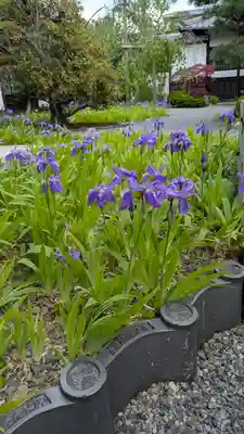 得浄明院(善光寺別院)(京都府)