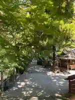 高鴨神社(奈良県)