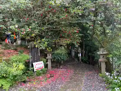大豊神社(京都府)