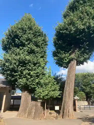 喜多院(埼玉県)