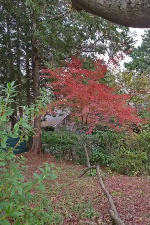 大菩提寺(岐阜県)