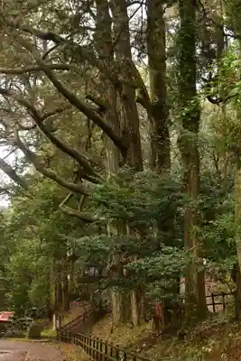 幣立神宮(熊本県)