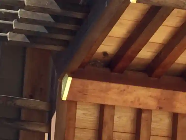 大間々神明宮(群馬県)