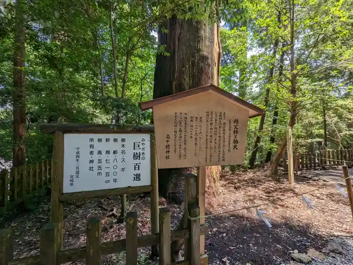 高千穂神社(宮崎県)