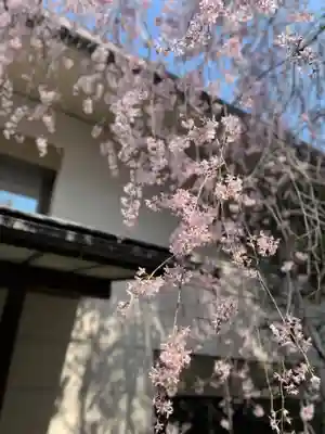 宝勝山　南藏院   蓮光寺(東京都)