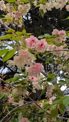本法寺(京都府)