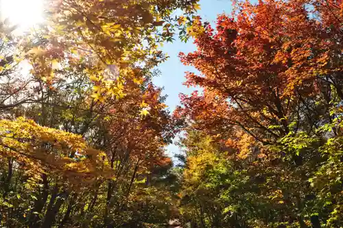 石鎚神社 中宮 成就社の景色