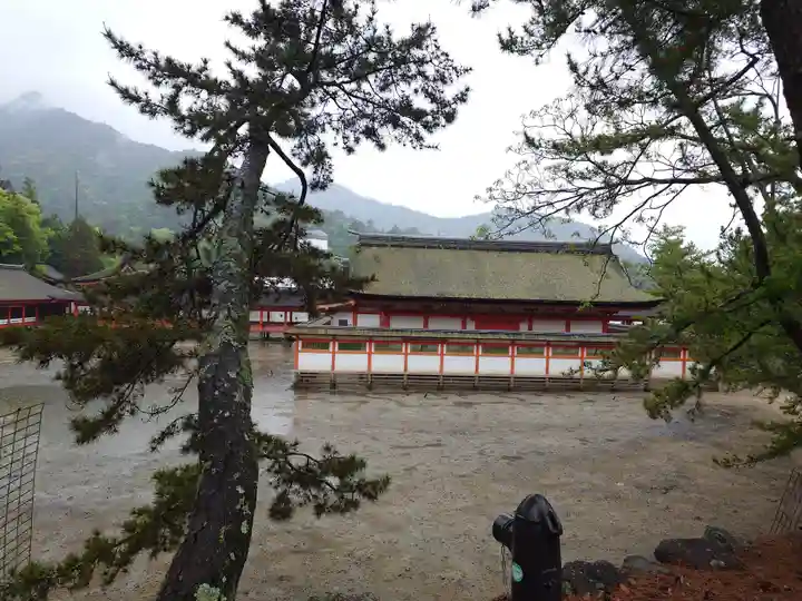 厳島神社(広島県)