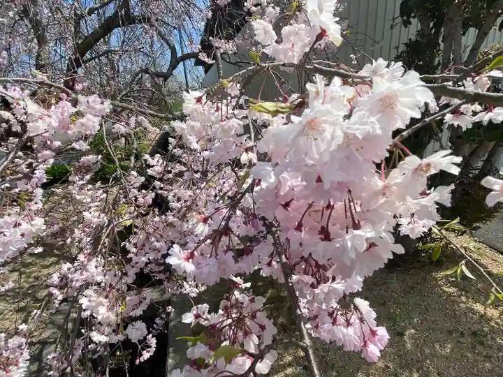 領善寺(滋賀県)