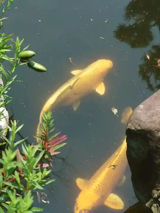 宇賀神社(神奈川県)
