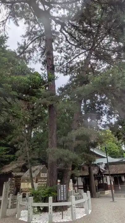 建部大社(滋賀県)