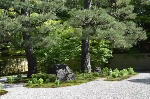 廬山寺（廬山天台講寺）の庭園