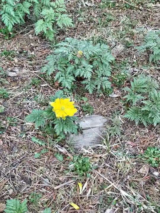 茂岩神社(北海道)