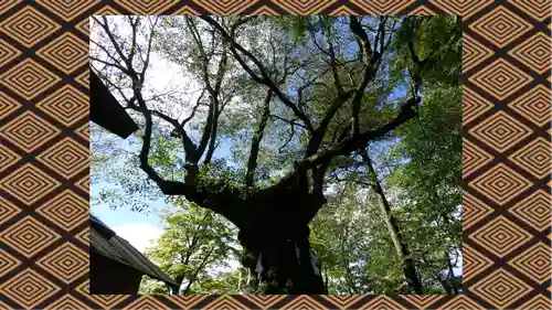 熊野皇大神社(長野県)