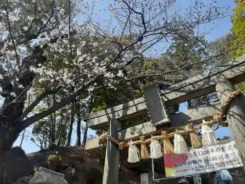 師岡熊野神社(神奈川県)