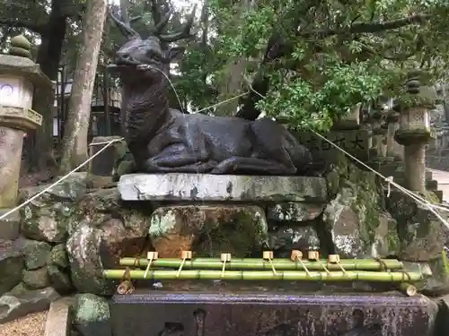 春日大社の手水舎