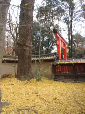 河合神社(鴨川合坐小社宅神社)(京都府)