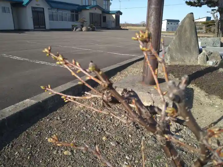 雨竜 専福寺(北海道)