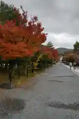 天龍寺(京都府)