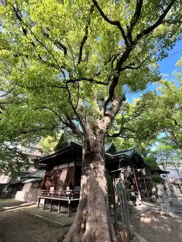 天神ノ森天満宮(大阪府)
